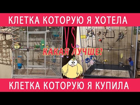 Видео: ОБЗОР НОВОЙ КЛЕТКИ Mcage И СРАВНЕНИЕ ЕЕ С КЛЕТКОЙ Ferplast Planeta КОТОРУЮ Я ОЧЕНЬ ХОЧУ КУПИТЬ