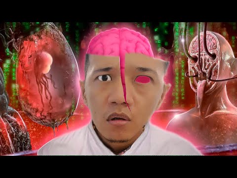 Видео: ӨМІРДІҢ АҚАУЫ 😱 БІЗ МАТРИЦАДАМЫЗ БА?!