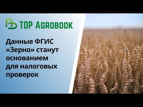 Видео: Данные ФГИС «Зерно» станут основанием для налоговых проверок | TOP Agrobook: обзор аграрных новостей