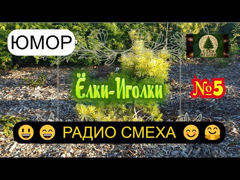 Видео: Мини-репортаж "Ель Блю Вейв" + Радио смеха-5 I Коллекция растений I Релакс-канал "Елки-Иголки"🎄🌼🌷🌳🌺🌴