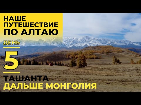 Видео: Наше путешествие по Алтаю. День 5. Ташанта, дальше Монголия.