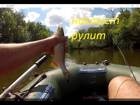 Видео: НА ГОЛОВЛЯ С НАХЛЫСТОМ ПО ЛЮБИМОЙ РЕКЕ/ПЕЧЕМ ГОЛАВЛЯ В ФОЛЬГЕ