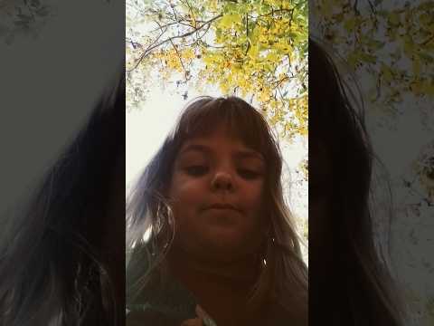 Видео: 3 ноября 2025 г.