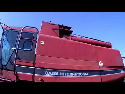 Видео: кейс 1680 готовимся к подсолнуху