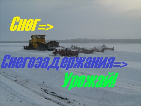Видео: Влияние снега на урожай
