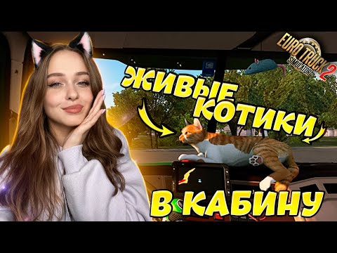 Видео: ЖИВЫЕ КОТИКИ В САЛОНЕ ТЯГАЧА: EURO TRUCK SIMULATOR 2 [ETS 2]