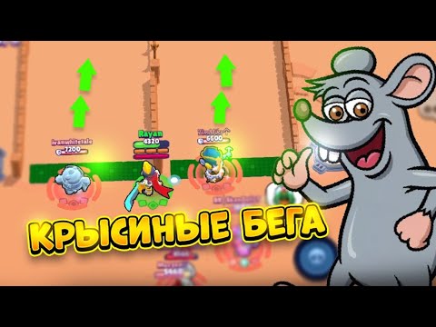 Видео: КРЫСИНЫЕ БЕГА КТО ОКАЖЕТСЯ ВСЕХ БЫСТРЕЕ?!