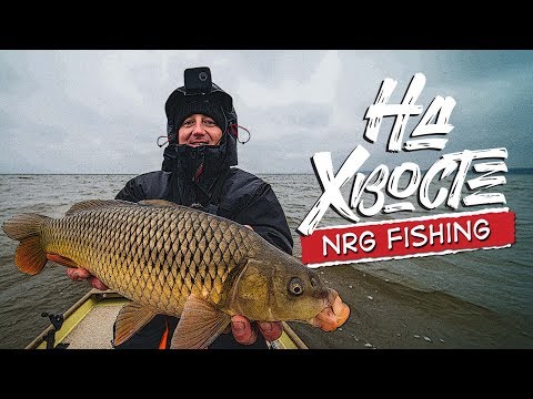 Видео: НА ХВОСТЕ NRG Fishing. Крупный сазан на джиг. Рыбалка с лодки поздней осенью.