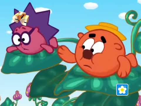 Видео: Инцидент "Недовольный сотрудник" на СТС 2009 (REMRITE)