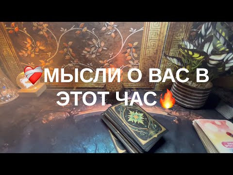 Видео: 15 ноября 2025 г.