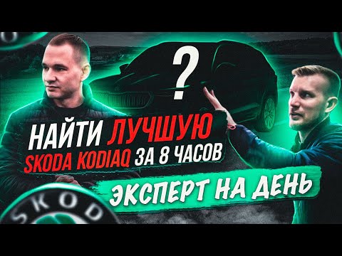 Видео: НАЙТИ ЛУЧШУЮ SKODA KODIAQ ЗА ДЕНЬ
