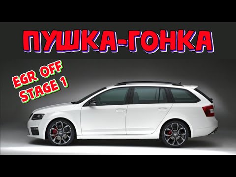 Видео: Как прошить Шкода Октавия А5 тюнинг и отключение ЕГР \\ Skoda Oktavia A5 1.9TDI  2008 г. EDC16U34
