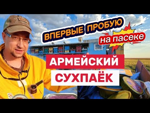 Видео: Армейский сухпай на пасеке: честная дегустация