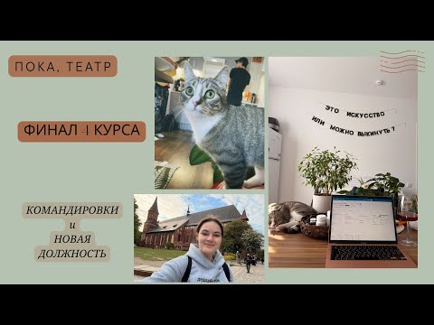 Видео: Новая работа / уволилась из театра / дни перед защитой диплома / Калининград и Москва