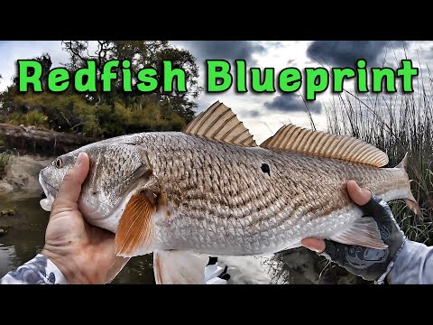 Видео: Вылов окуня — как поймать окуня в 2021 году