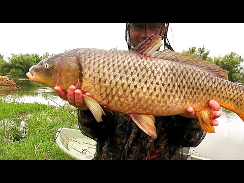 Видео: ВОДА СПАДАЕТ - САЗАН НА ЖМЫХ НАПАДАЕТ! РЫБАЛКА В ЗАПРЕТ. ТРОФЕЙ В НАГРАДУ ЗА ТЕРПЕНИЕ.