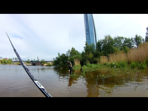 Видео: Рыбалка в проводку на поплавочную удочку. Жор плотвы. Рыбалка СПБ Лахтинский разлив. Плотва.