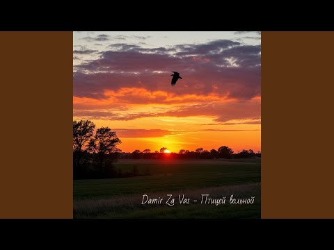 Видео: Птицей вольной