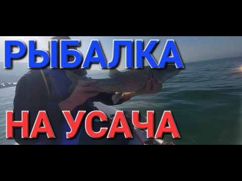 Видео: РЫБАЛКА НА УСАЧА