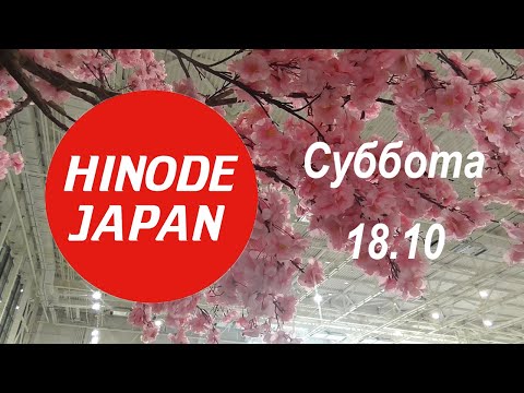 Видео: Hinode Japan 2025 ||| Обзор