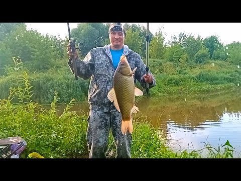 Видео: Рыбалка на карася в августе. Ловля карася на донку с кормушкой.