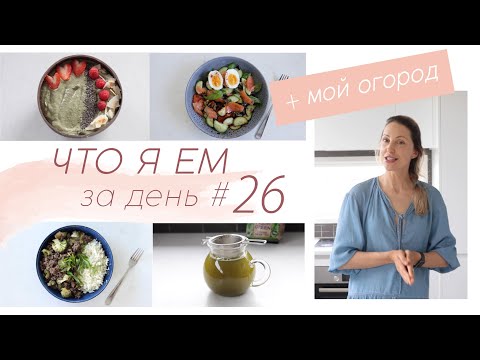 Видео: ЧТО Я ЕМ ЗА ДЕНЬ #26 #палео #lchf #меню