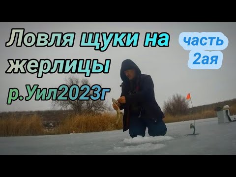 Видео: Опустил камеру а её там кишит Ловля щуки на жерлицы на р  Уил ВТОРОЙ ДЕНЬ Рыбалка в Актобе 2023г