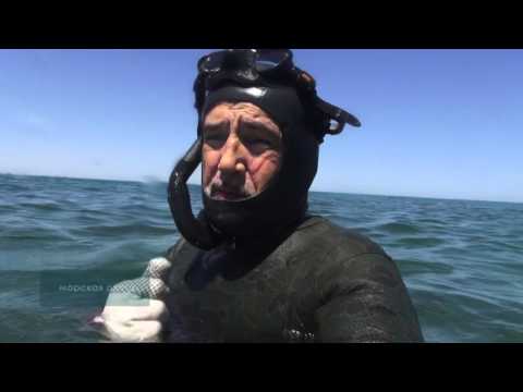 Видео: Фильм четвёртый