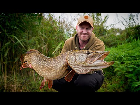 Видео: Ловля щуки на реке