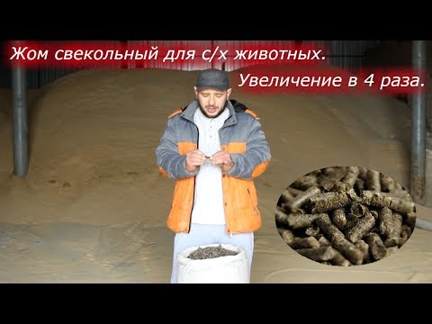 Видео: ЖОМ СВЕКОЛЬНЫЙ ДЛЯ  С/Х ЖИВОТНЫХ