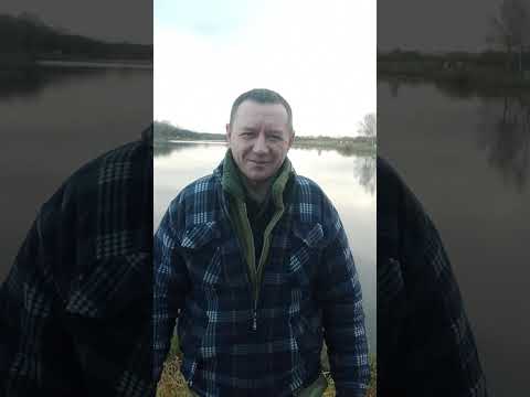 Видео: Золотая рыбка с золотым кольцом с  вознаграждением 50 тысяч рублей