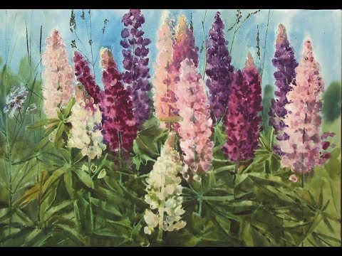 Видео: ЛЮПИНЫ. LUPINS. МАСТЕР-КЛАСС ИГОРЯ МАНУХОВА.