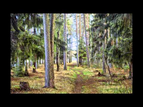 Видео: Иркутская  ИСТОРИЯ -песня  в  исполнении А.Маршала