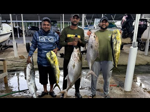 Видео: Лов дельфинов на удочку! Ловля махи-махи в Карибском море! В открытом море, Тринидад