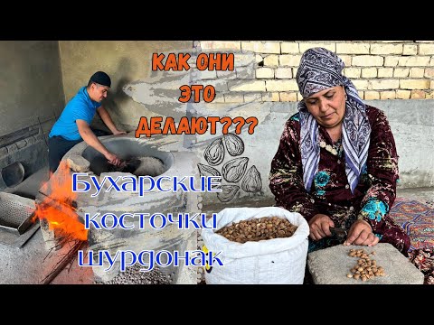 Видео: Как готовят надколотые соленые косточки шурдонак в Узбекистане | Slow food experience in Uzbekistan
