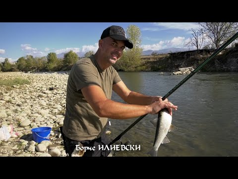 Видео: Ribolov na bojnik vo reka Struma Republika Bugarija 2 del #fishing #риболов #struma