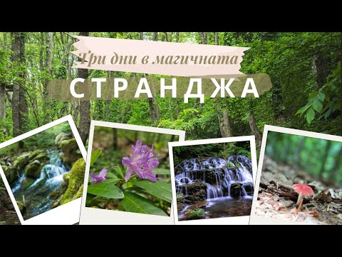 Видео: Три дни в магичната Странджа: Екопътеки, Водопади и История