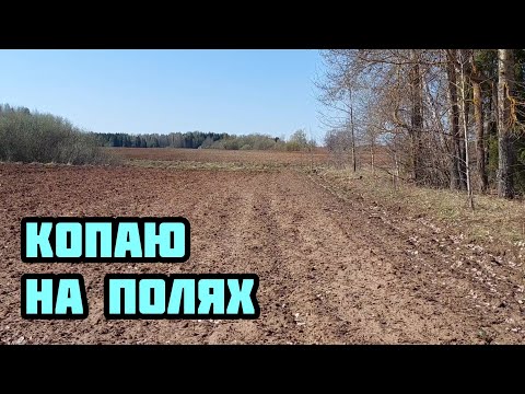 Видео: Копаю манеты и предметы старины на полях с TX 850