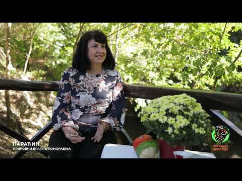 Видео: Река на брегу - Забрега 14.10.2024.