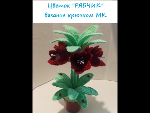 Видео: Цветок "РЯБЧИК" вязание крючком МК