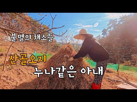 Видео: Жена, как сестра в горах, бессмертные овощи, мидийный шампон [46]