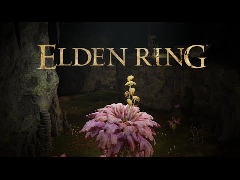 Видео: •ELDEN RING•Опять боссы😄