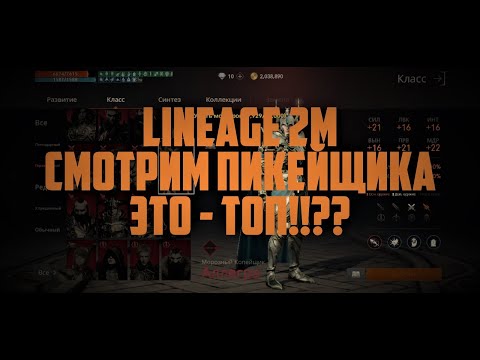 Видео: Lineage 2M - Смотрим пикейщика. Это - Топ??!!