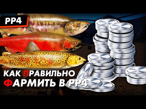 Видео: Фарм монет в РР4: Как не психануть? + Ответы на вопросы Русская Рыбалка 4