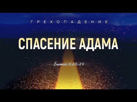 Видео: Бытие: 25. Спасение Адама (Алексей Коломийцев)