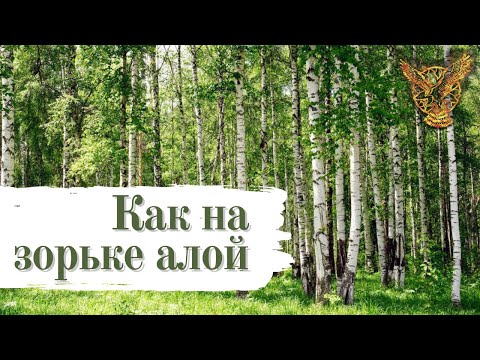 Видео: #сколот #skolot #тамбов Сколот - Как на зорьке алой (Official Video) / Skolot - As at dawn scarlet