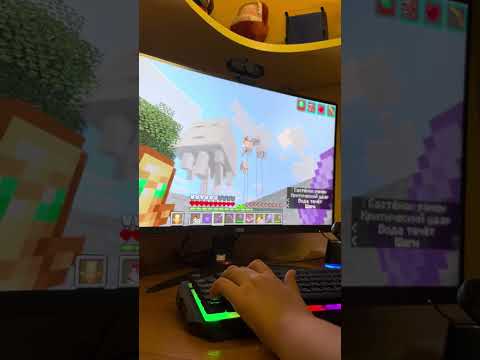 Видео: 5 ноября 2025 г.