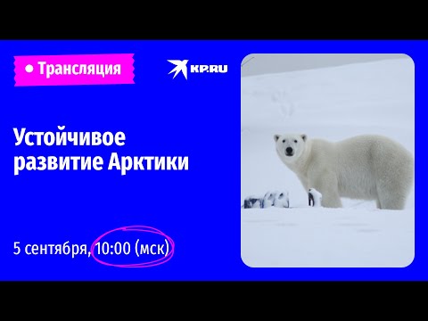 Видео: Устойчивое развитие Арктики