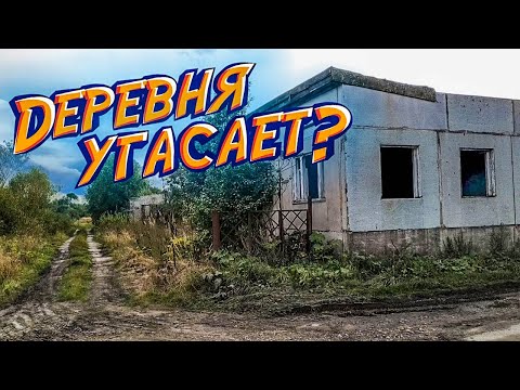 Видео: Угасающая жизнь в деревнях Тверской области | "Новый путь" - не состоялся!?