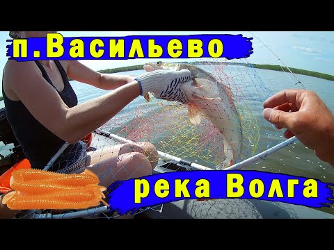 Видео: Республика Татарстан, п. Васильево - река Волга